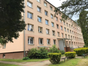 Dom Studenta Pod Jeleniem, Jelenia Góra